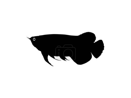 Illustration for Silhouette of the Arowana or Arwana also known as Dragon Fish, for Art Illustration, Logo Type, Pictogram, Website or Graphic Design Element. Vector Illustration - Royalty Free Image