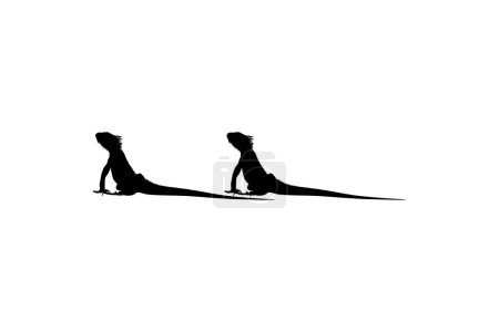 Ilustración de Silhouette of Iguana Reptiles (un género de lagartos herbívoros que son nativos de áreas tropicales de México, América Central, América del Sur y el Caribe). Ilustración vectorial - Imagen libre de derechos