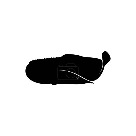Ilustración de La silueta de la anguila de fuego (Mastacembelus erythrotaenia) es una especie relativamente grande de anguila espinosa, puede usarse para ilustración de arte, tipo de logotipo, pictograma, sitio web o elemento de diseño gráfico. Vector - Imagen libre de derechos