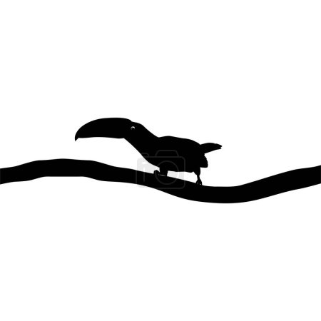 Téléchargez les illustrations : Les Toucans sont des membres néotropicaux de la famille des Ramphastidae. Les Ramphastidae sont les plus proches des barbecues américains, Bird Silhouette. Illustration vectorielle - en licence libre de droit