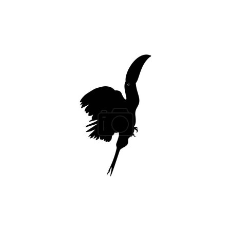 Illustration for Flying Toucans. Toucans are Neotropical members of the near passerine bird family Ramphastidae. The Ramphastidae are most closely related to the American barbets, Bird Silhouette. Vector Illustration - Royalty Free Image
