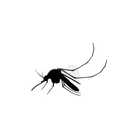 Téléchargez les illustrations : Mosquito Silhouette, peut être utilisé pour le pictogramme d'illustration d'art, le site Web et l'élément de conception graphique. Illustration vectorielle - en licence libre de droit