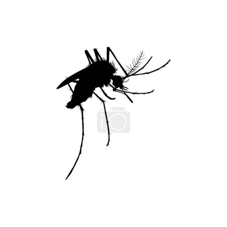Illustration for Mosquito Silhouette, can use for Art Illustration Pictogram, Website, and Graphic Design Element. Vector Illustration - Royalty Free Image