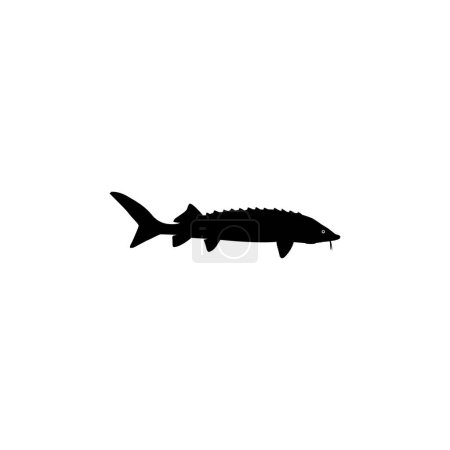 Esturgeon béluga ou silhouette de poisson Huso, style plat, poisson qui produit du caviar haut de gamme et coûteux, pour type de logo, illustration d'art, pictogramme, applications, site Web ou élément graphique