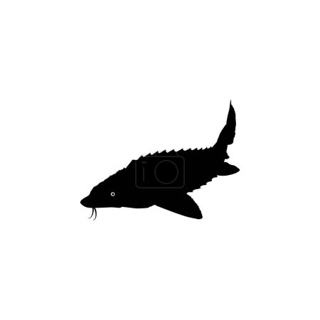 Esturgeon béluga ou silhouette de poisson Huso, style plat, poisson qui produit du caviar haut de gamme et coûteux, pour type de logo, illustration d'art, pictogramme, applications, site Web ou élément graphique