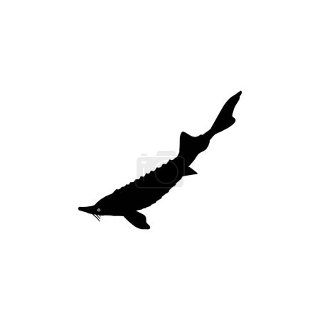 Beluga Sturgeon or Huso Fish Silhouette, Flat Style, Fish Which Produce Premium and Expensive Caviar, For Logo Type, Art Illustration, Pictogram, Apps, Website or Graphic Design Element