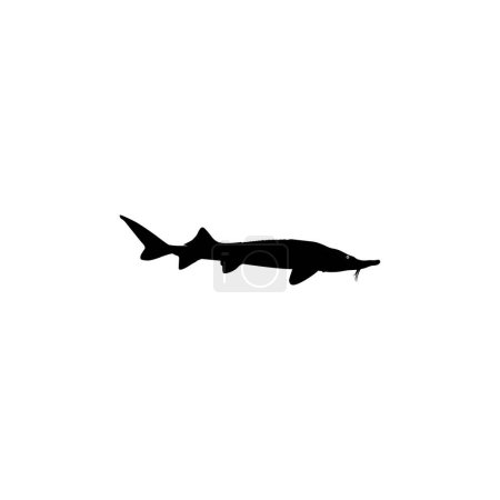 Beluga esturión o silueta de pescado Huso, estilo plano, pescado que producen premium y caro caviar, para el tipo de logotipo, ilustración de arte, pictograma, aplicaciones, sitio web o elemento de diseño gráfico