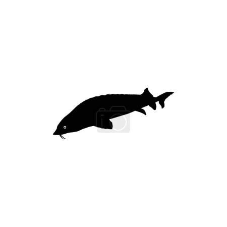 Beluga esturión o silueta de pescado Huso, estilo plano, pescado que producen premium y caro caviar, para el tipo de logotipo, ilustración de arte, pictograma, aplicaciones, sitio web o elemento de diseño gráfico