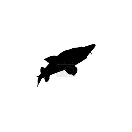 Esturgeon béluga ou silhouette de poisson Huso, style plat, poisson qui produit du caviar haut de gamme et coûteux, pour type de logo, illustration d'art, pictogramme, applications, site Web ou élément de conception graphique. Vecteur