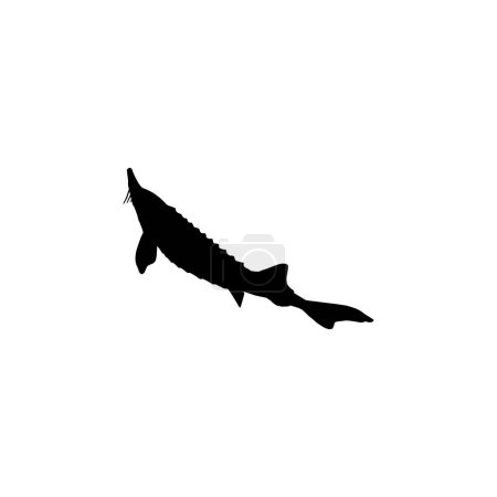 Beluga Sturgeon or Huso Fish Silhouette, Flat Style, Fish Which Produce Premium and Expensive Caviar, For Logo Type, Art Illustration, Pictogram, Apps, Website or Graphic Design Element. Vector