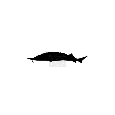 Esturgeon béluga ou silhouette de poisson Huso, style plat, poisson qui produit du caviar haut de gamme et coûteux, pour type de logo, illustration d'art, pictogramme, applications, site Web ou élément de conception graphique. Vecteur