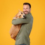 Happy european man holding and comforting cute corgi dog, smiling at camera, posing with pet over yellow studio background
