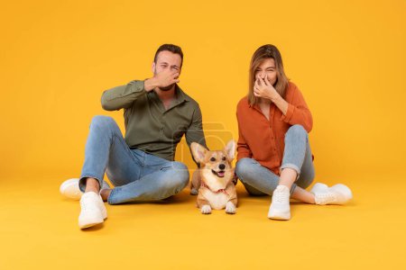 Foto de Joven europeo hombre y mujer cerrando sus narices, como perro corgi pedos cerca, sentado en el fondo del estudio amarillo, espacio libre. Situación impredecible - Imagen libre de derechos