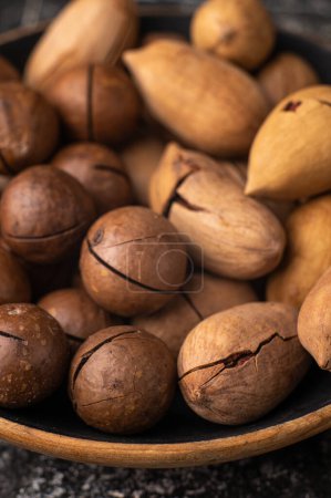 Photo for Pecan and macadamia nuts in shell on a dark background - Royalty Free Image