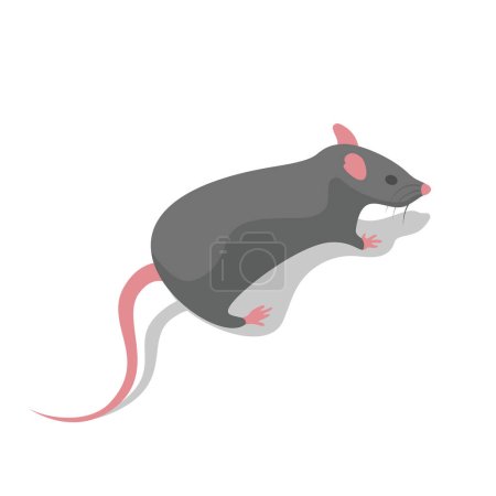 Runaway mouse, rear view close-up. Gray rodent isometric style. Vector illustration flat design. Isolated on white background.