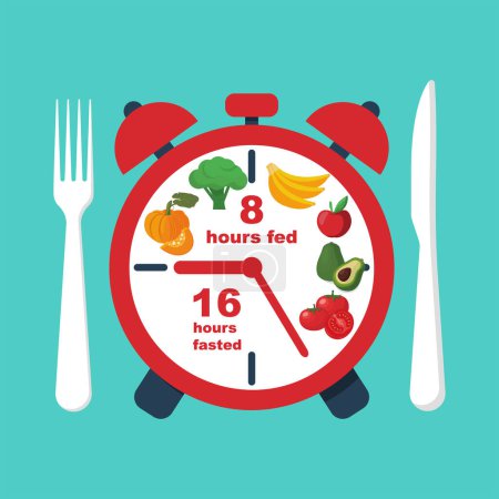 Periodic fasting. Protocol nutrition 16/8. Time for food and time for hunger. Vector illustration flat design. Isolated on white background. Healthy foods. Modern scheme of eating food.