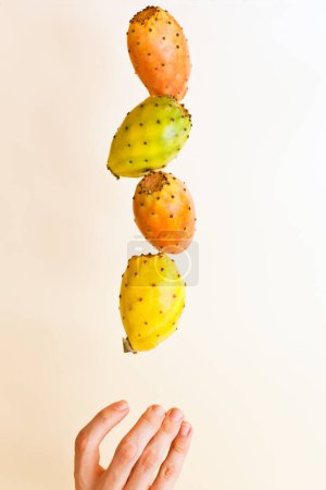 lévitation végétale de cactus. fruits jaunes frais mûrs de cactus tombant dans l'air sur la main. Lévitation alimentaire ou conception par gravité nulle.