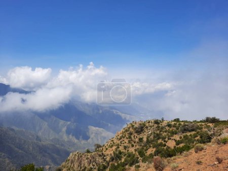 Téléchargez les photos : Beauté naturelle à couper le souffle d'Abha en Arabie Saoudite en saison estivale. Hautes montagnes, verdure, nuages bas et brouillard sont la beauté d'Abha. - en image libre de droit