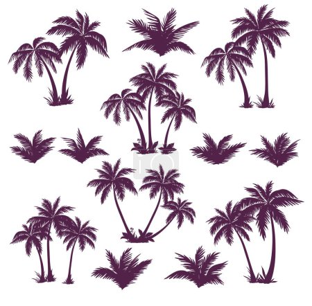 Téléchargez les illustrations : Ensemble de silhouettes de palmiers - en licence libre de droit