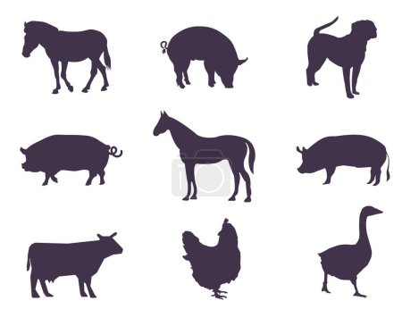 Illustration for A set of silhouettes of farm animals - Royalty Free Image