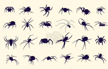 Illustration for Spider insects. A large set of silhouettes of spiders on a light background. - Royalty Free Image