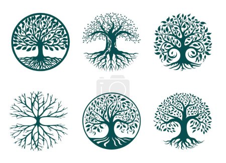 The symbol of the tree of life in a circle on a white background