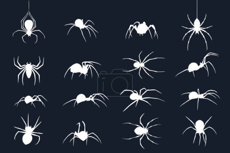 Illustration for A large set of silhouettes of spiders on a dark background. Spider insect - Royalty Free Image