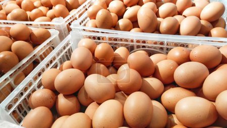 Foto de Montones de huevos en cestas en los mercados tradicionales - Imagen libre de derechos