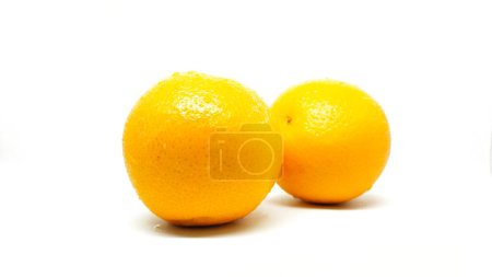 Photo for Two big fresh sunkist oranges in a white background - Royalty Free Image