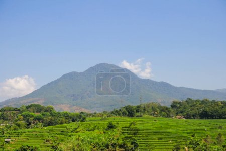 Photo for Clear skies, lovely views, green slopes and shade trees, as well as distant mountain shadows - Royalty Free Image