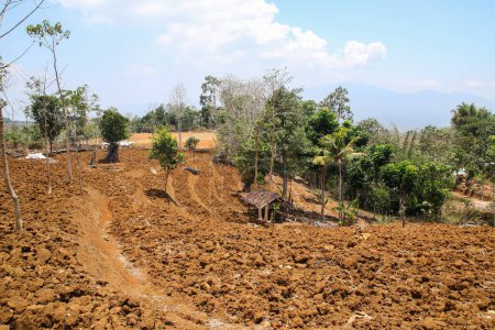 Téléchargez les photos : Barren land, plantation areas with dry soil without planting crops - en image libre de droit