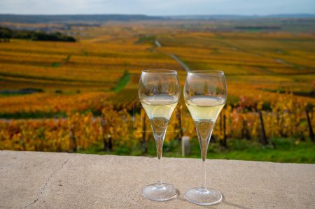 Degustación de vino espumoso de champán brut al aire libre con vistas a coloridos viñedos de otoño pinot noir grand cru de famosas casas de champán en Montagne de Reims cerca de Verzenay, Champagne, Francia