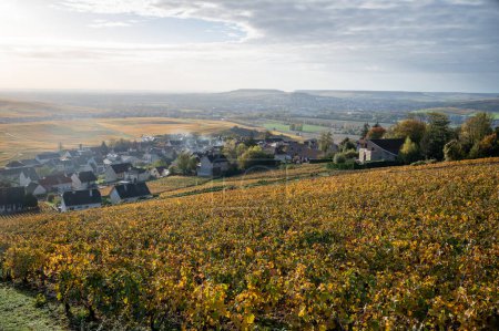 Foto de Vista panorámica de los coloridos viñedos de champán y el pueblo de Hautvillers cerca de Epernay, Champange, Francia - Imagen libre de derechos