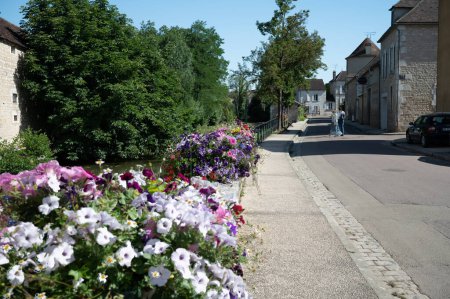 Foto de Norte de la región vinícola de Borgoña, caminando en el pueblo de Chablis con famoso vino blanco seco hecho de uva Chardonnay, tour del vino en Francia en verano - Imagen libre de derechos