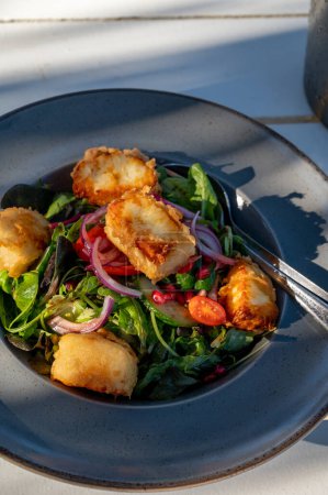 Téléchargez les photos : Alimentation méditerranéenne végétarienne saine, Salade de fromage halloumi grillé avec laitue verte, oignon, concombre et vinaigre - en image libre de droit