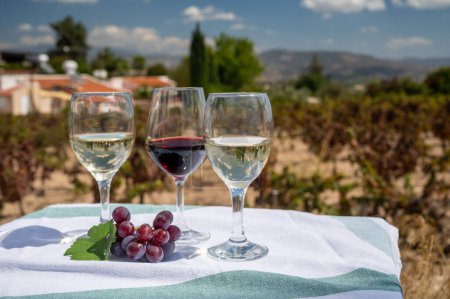 Photo for Tasting of red and white wines on vineyards of Cyprus. Wine production on Cyprus, tourists wine route and visiting of wineries. - Royalty Free Image