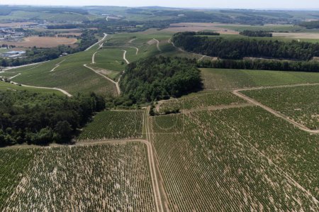 Foto de Aerial view on green vineyards and villages near Mont Brouilly, wine appellation Cote de Brouilly beaujolais wine making area along Beaujolais Wine Route,  France - Imagen libre de derechos