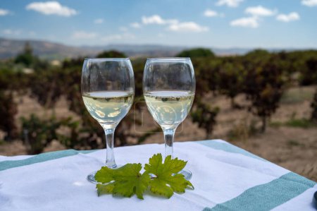 Photo for Tasting of white wines on vineyards of Cyprus. Wine production on Cyprus, tourists wine route and visiting of wineries. - Royalty Free Image