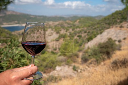 Photo for Tasting of red wine on vineyards of Cyprus. Wine production on Cyprus, tourists wine route and visiting of wineries. - Royalty Free Image