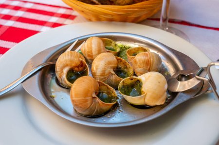 Plato de entrada en restaurantes tradicionales de Borgoña, caracoles cocidos con mantequilla, ajo y hierbas, Francia