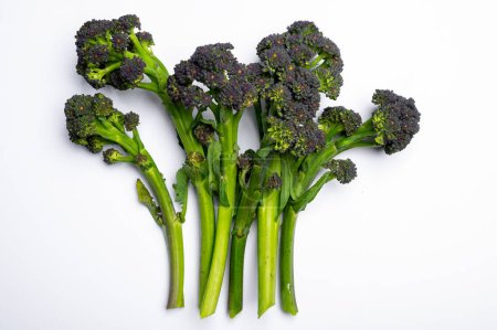 Foto de Tallos verdes oscuros de verduras frescas de brócoli bimi espárragos sin cocer - Imagen libre de derechos