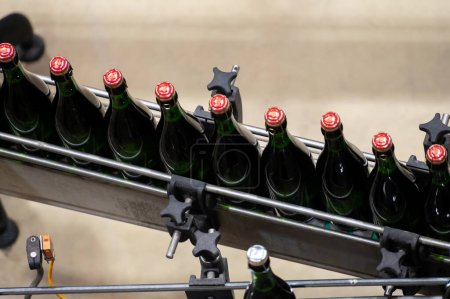 Produktion von Cremant-Schaumwein in Burgund, Frankreich. Automatisch angetriebene Abfüll-, Korken- und Verpackungslinien ab Werk.