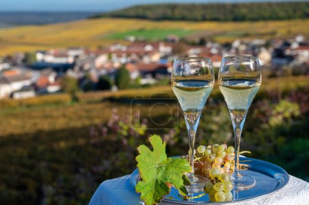 Photo for Tasting of french sparkling white wine with bubbles champagne on outdoor terrace with view on colorful grand cru Champagne vineyards in village Cramant in October, near Epernay, France - Royalty Free Image
