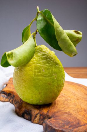 Photo for Lemon citron cedrate or Citrus medica, large fragrant citrus fruit with thick rind used for making italian limonchello liquor - Royalty Free Image