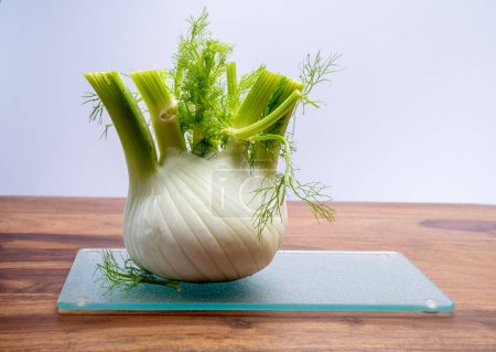 Foto de Dieta vegetal saludable, bulbo de hinojo de florencia blanca fresca cruda de cerca - Imagen libre de derechos