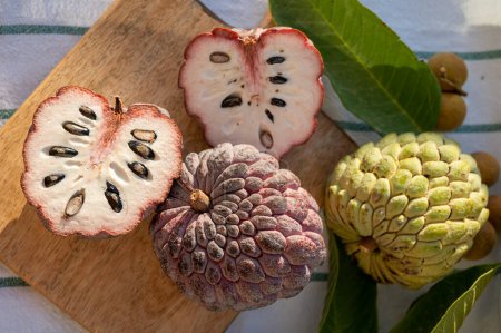 Téléchargez les photos : Cherimoya ou pomme à crème savoureux fruits exotiques tropicaux mûrs gros plan - en image libre de droit