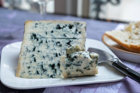 Photo for Piece of Bleu de Laqueuille semi-hard AOP French blue cheese made from raw cow milk close up - Royalty Free Image