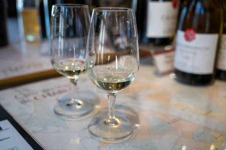 Téléchargez les photos : Dégustation de chablis blanc sec chardonnay dans une petite cave de Chablis, Bourgogne, France - en image libre de droit