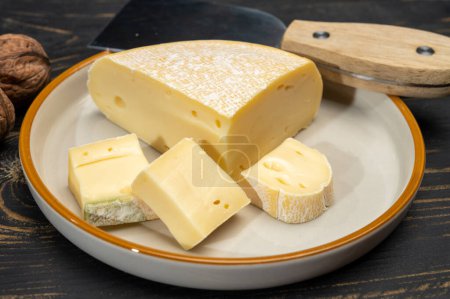 Collection fromage, reblochon de savoie gratin fromage de vache gros plan