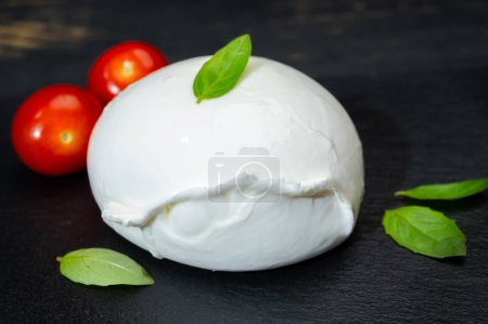 Photo for Cheese collection, one big ball on soft white italian mozzarella bufala campania cheese with red tomato and green basil leaves on gray board - Royalty Free Image